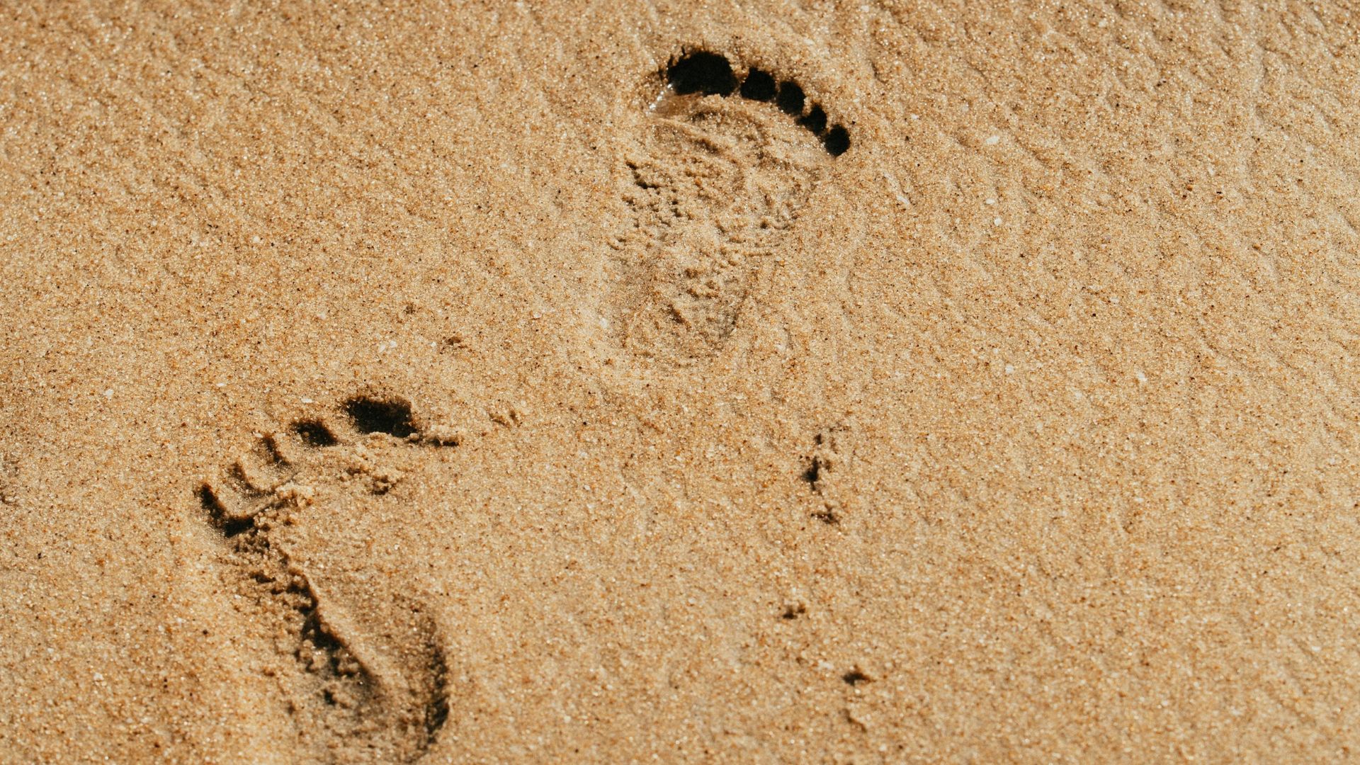 Rezervor ilegal de gaz la Năvodari, descoperit sub nisip. Controale pe litoral