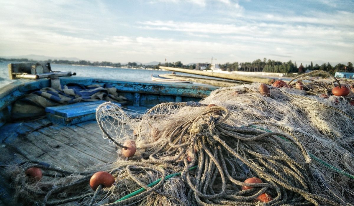 Prohibiția la scrumbie în delta dunării, menținută deși vine Paștele