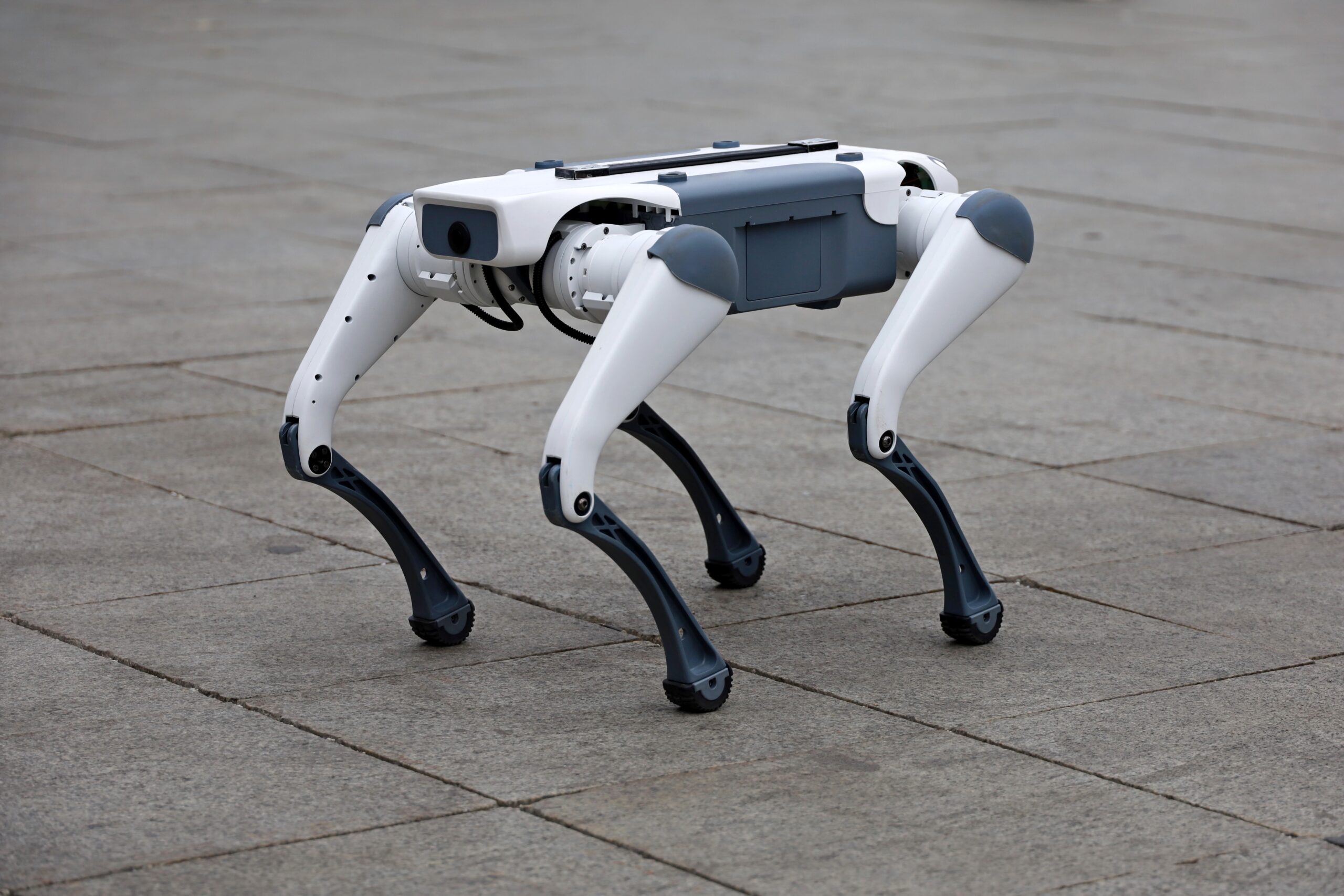 Roboți pe străzile din România: Cer trecătorilor să păstreze curățenia