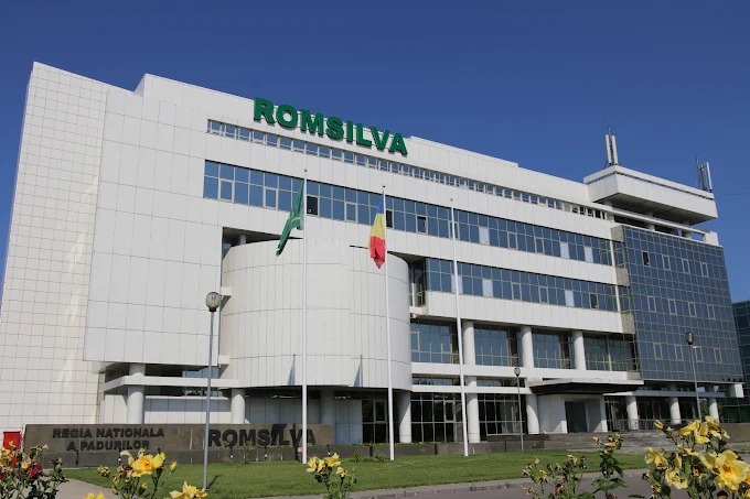 Tánczos Barna: Reforma romsilva, necesară „de jos în sus”