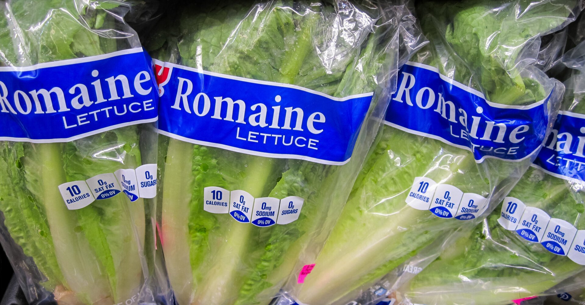 Comisia europeană: Ia folosește ia pentru a detecta alimente contaminate