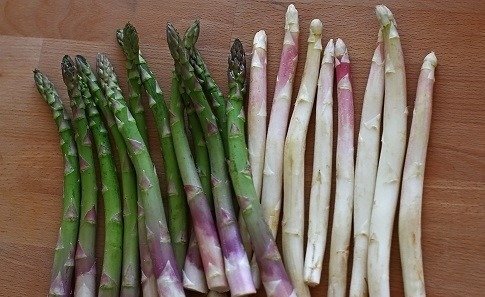 Proteste împotriva fermierilor care încalcă practicile agricole durabile