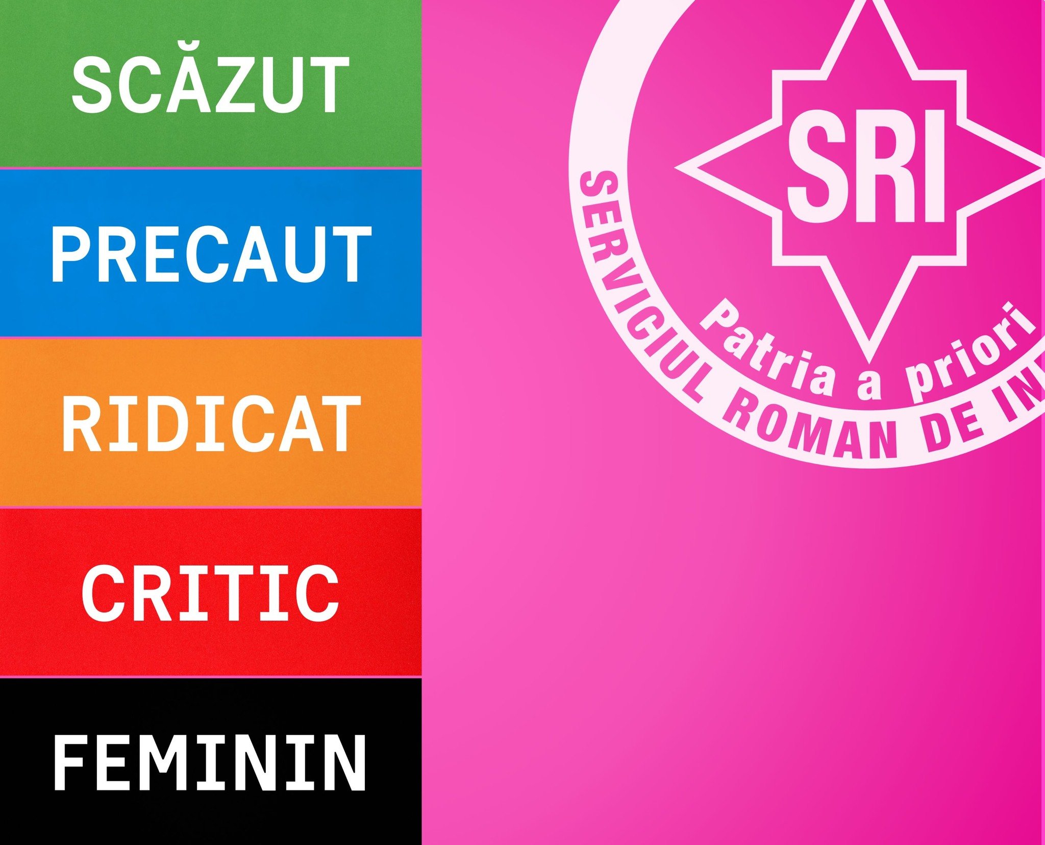 S.r.i., mesaj de 8 martie controversat: Gen și securitate națională, critici dure