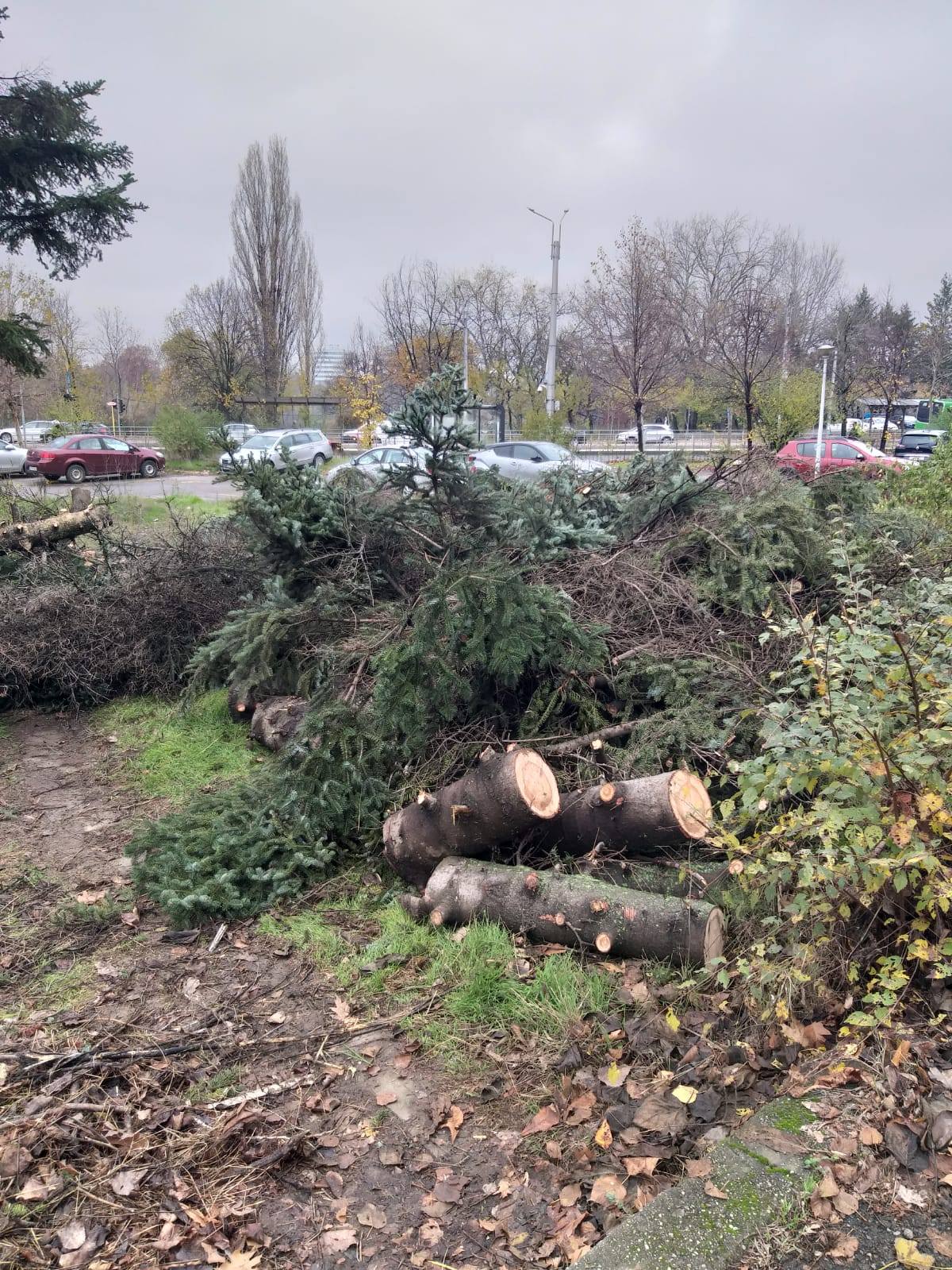 Ciocanul de marcat arbori, înlocuit de echipamente moderne în silvicultură