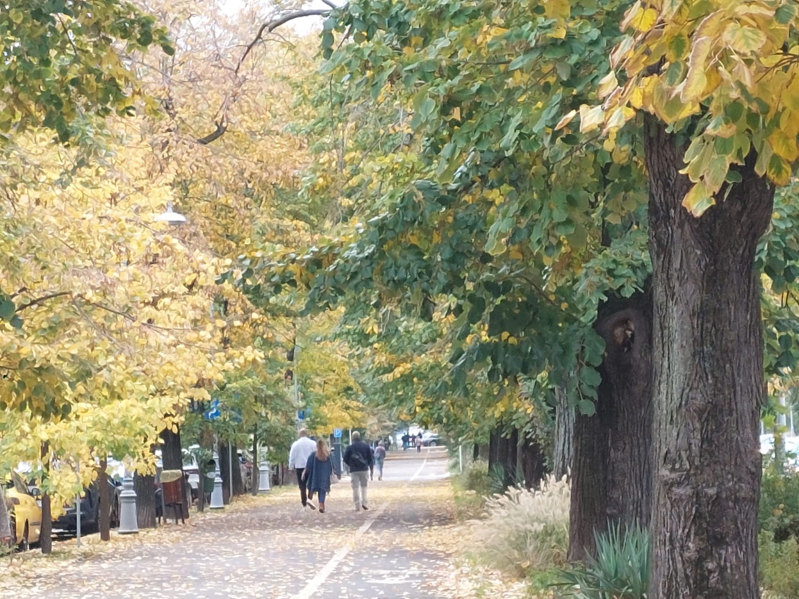 Primarul din Buzău promite parc pentru romi, după ce cimitirul a devenit loc de joacă