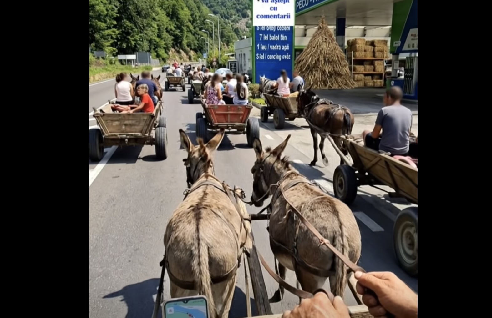 Clip AI: Transport pe Valea Oltului, cu măgari în loc de mașini