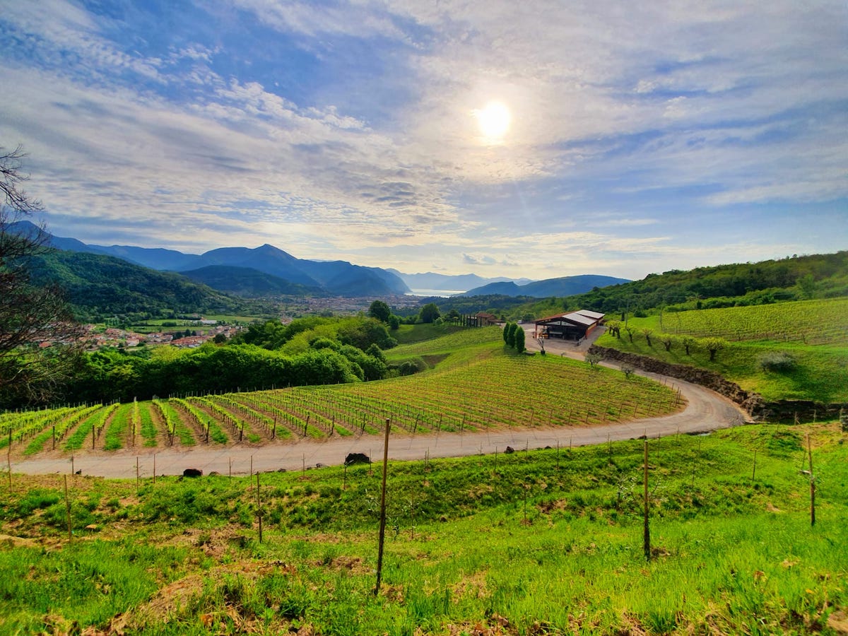 Româncele, la conducerea a 240 de firme în regiunea Siena, toscana