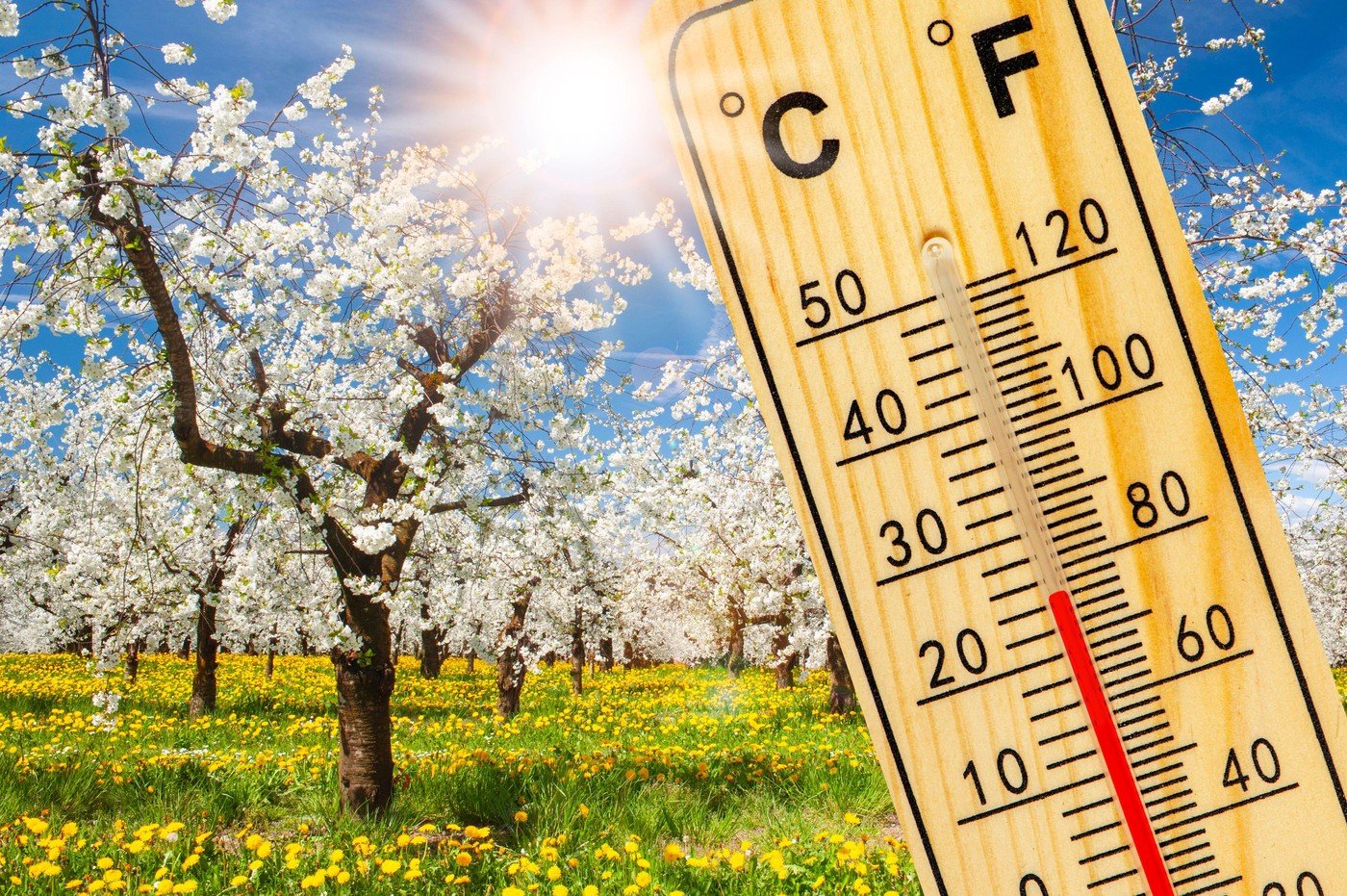 România: Temperaturi de până la 20 grade. Ploi locale anunțate, vine primăvara