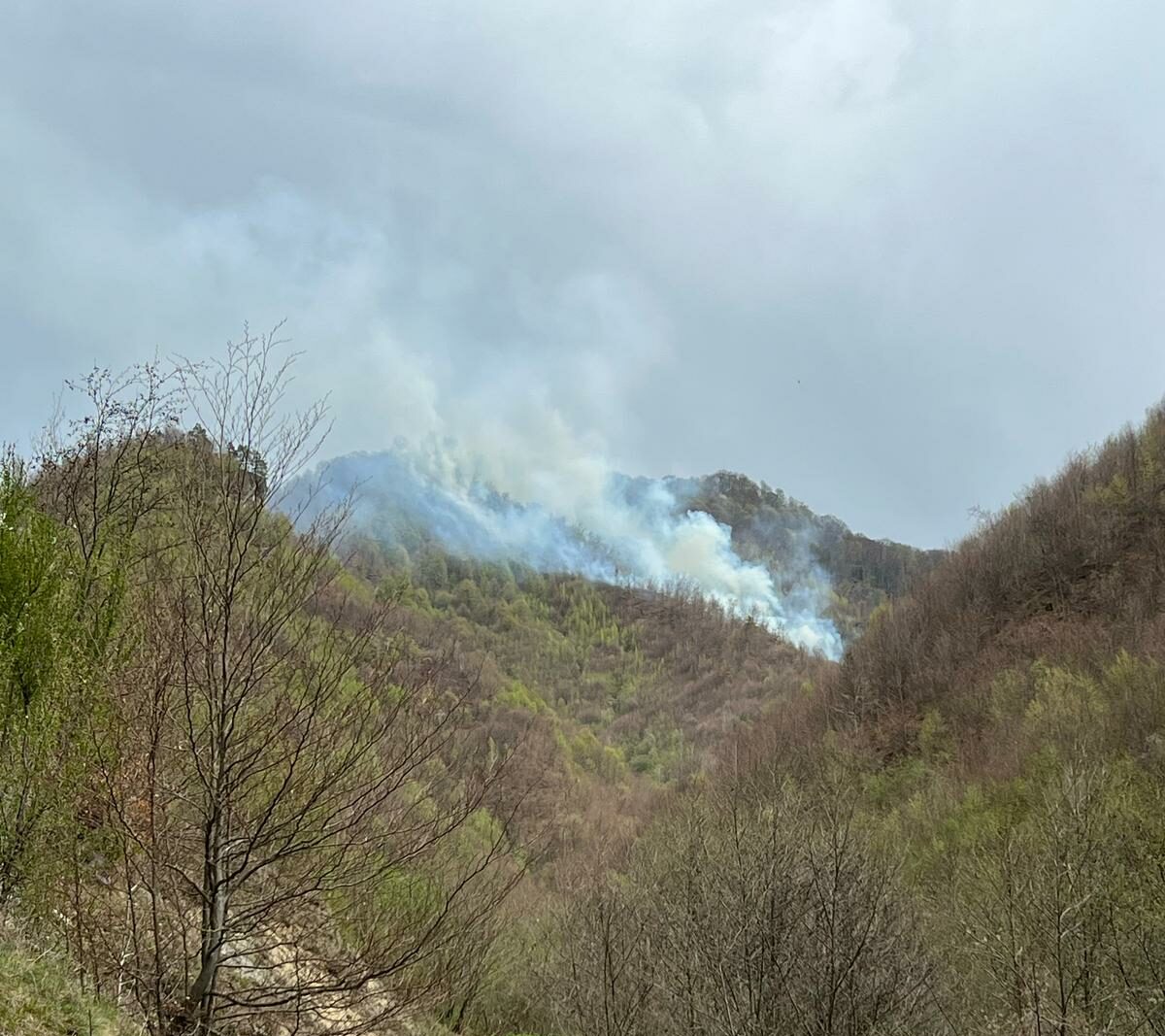 Incendiu major în Maramureș: Ard vegetație uscată și litiera