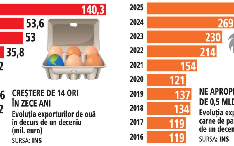 România, țara fermelor de păsări: Exporturi de carne și ouă de peste jumătate de miliard de euro