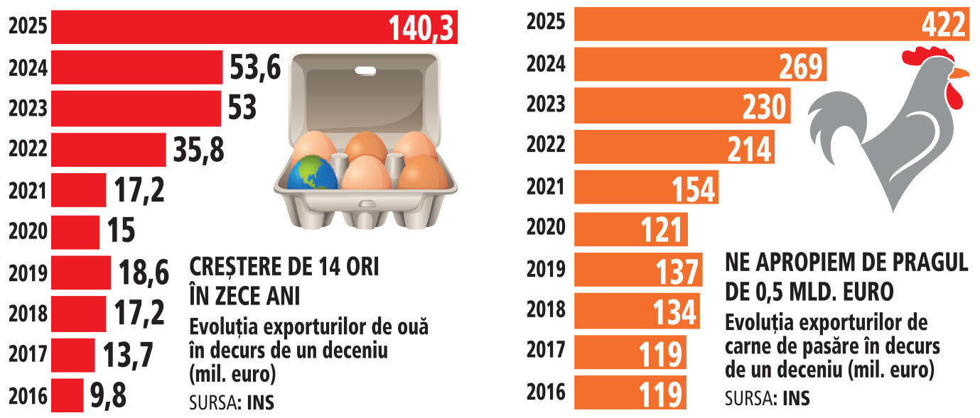 România, țara fermelor de păsări: Exporturi de carne și ouă de peste jumătate de miliard de euro
