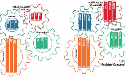 IMM-urile, motorul economiei: 75% din angajați și profituri uriașe
