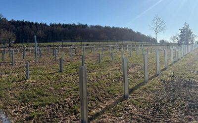 Proiecte energetice „băieți deștepți” pe OLX, dezvăluite de Bolojan: Blochează rețeaua!