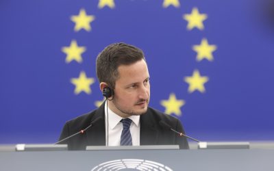 Ștefănuță vrea „Ungaria” în România: Parlamentul, „ras tot”