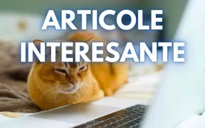 Articolele Zilei: Scandaluri Politice, Predicții Meteo și Donald Trump