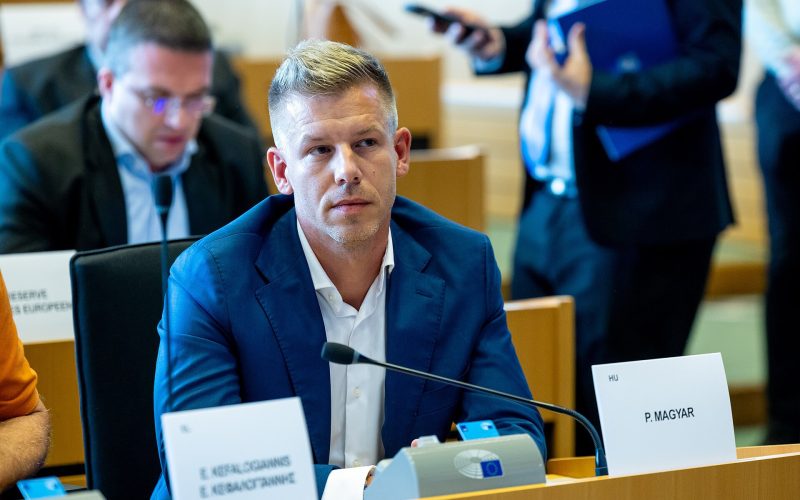 Magyar, omul care l-a învins pe Orban: De la afișul cu Viktor, la succesul uriaș