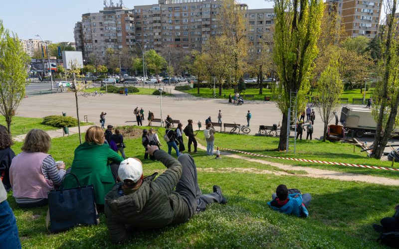 Plopii din Parcul Tineretului, în pericol: Cum salvează specialiștii arborii din București