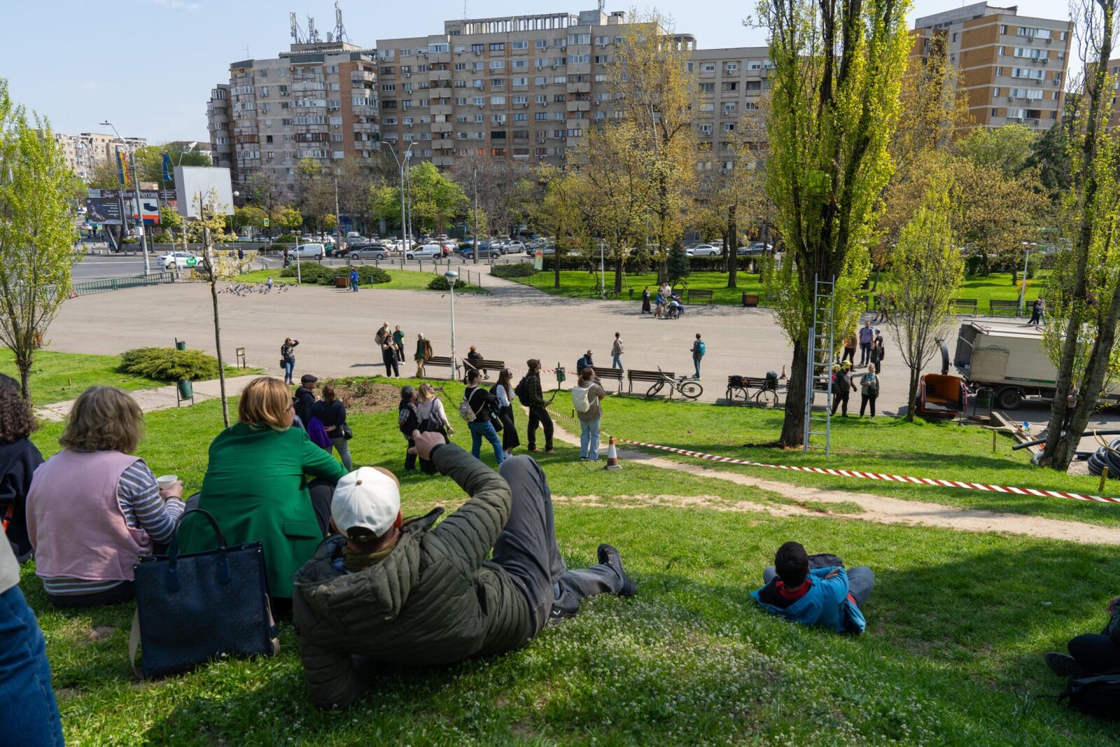 Plopii din Parcul Tineretului, în pericol: Cum salvează specialiștii arborii din București