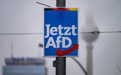 AfD, partidul extremist, urcă în sondaje în Germania