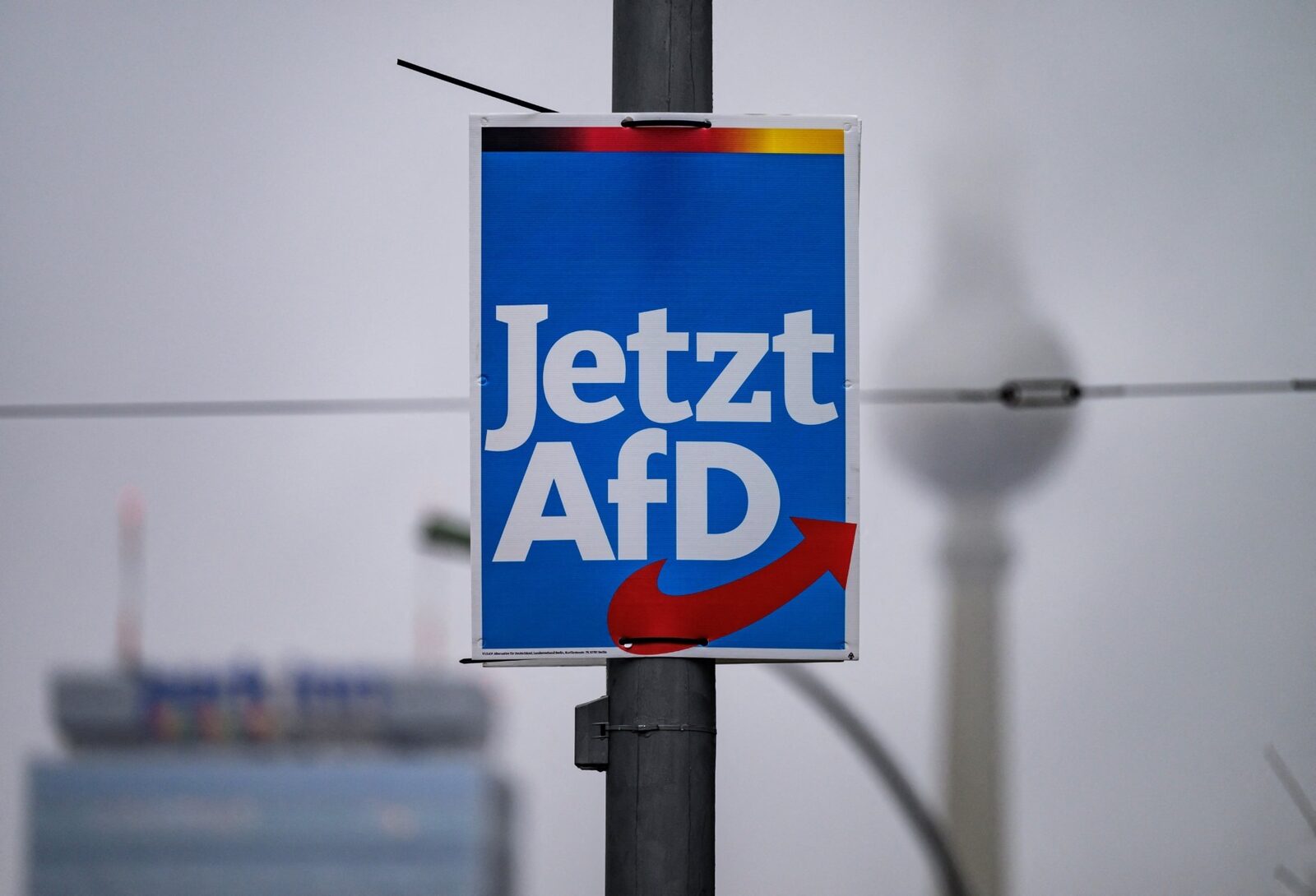 AfD, partidul extremist, urcă în sondaje în Germania