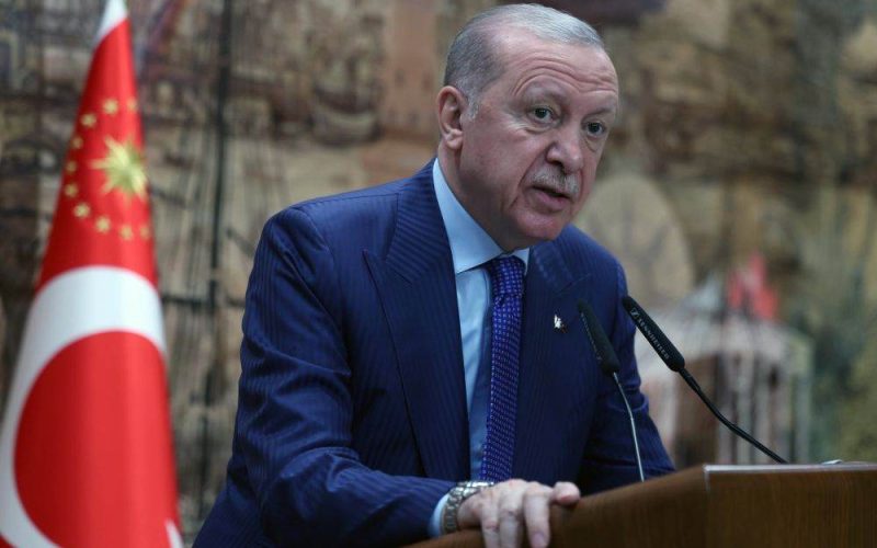 Erdogan și Macron, discuții despre securitate: Ce dosare au discutat liderii