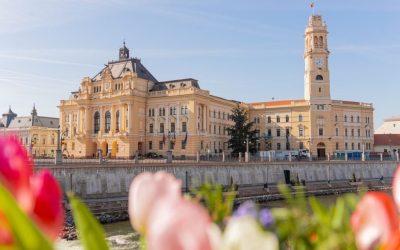 Consilierii din Oradea, „tun” pe posturi: Îngrijitori, transformați în inspectori