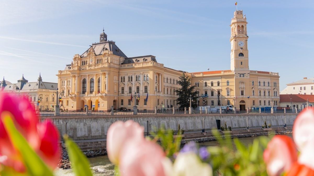 Consilierii din Oradea, „tun” pe posturi: Îngrijitori, transformați în inspectori
