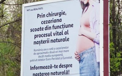 Cynthia Păun, scandal cu panourile: „În 2026, așa ceva?” Cere intervenție