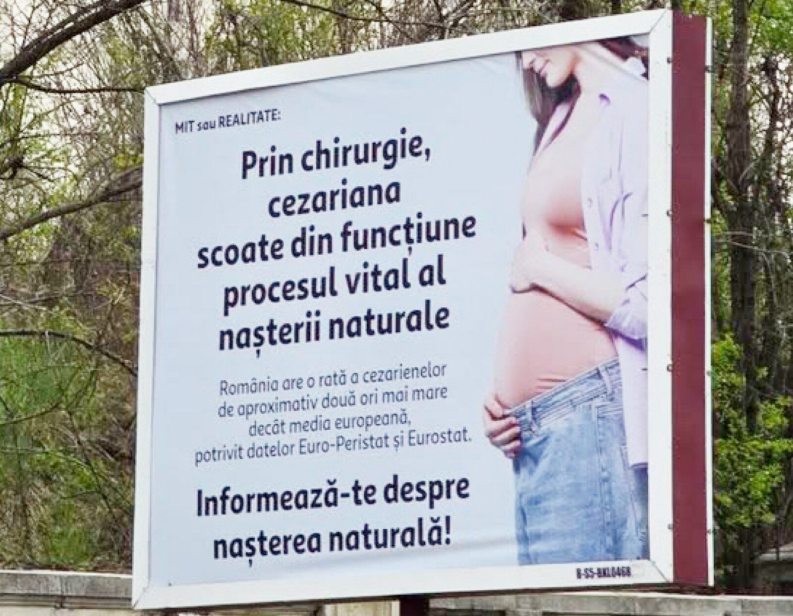 Cynthia Păun, scandal cu panourile: „În 2026, așa ceva?” Cere intervenție