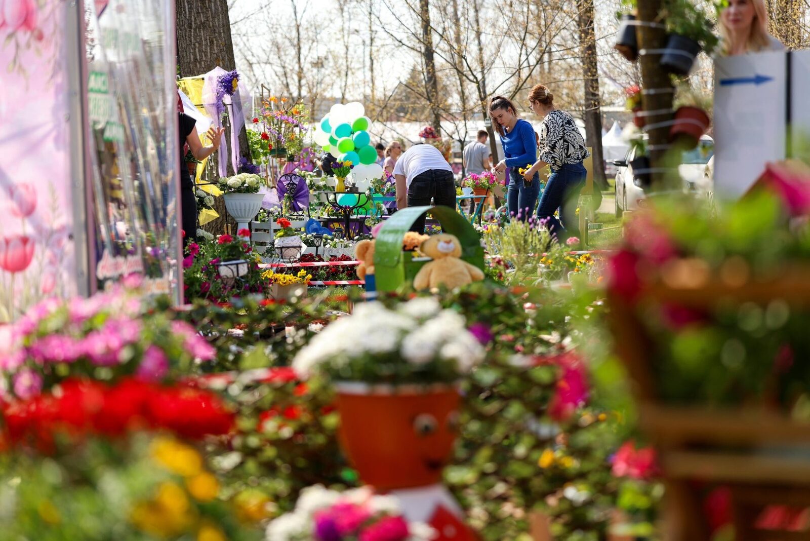 Simfonia Lalelelor, la Pitești: Florari din toată România, atracție majoră