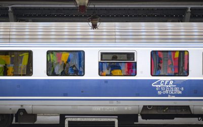 Copac pe șine: Trenuri blocate pe ruta Brașov-Sighișoara