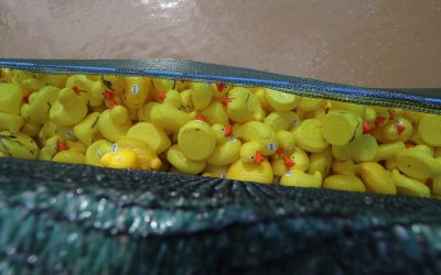 O „furtună de microplastice” amenință sănătatea umană, potrivit unui nou studiu amplu care arată că particulele minuscule de plastic pătrund în organism din surse diverse, inclusiv spitale, jucării pentru copii și chiar vopsea