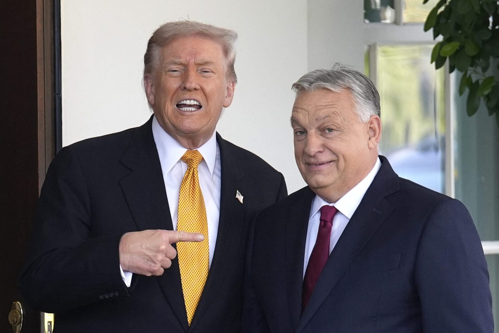 Liderul american Donald Trump și-a exprimat public sprijinul pentru premierul ungar Viktor Orban, descriindu-l drept un „lider cu adevărat puternic” cu „rezultate fenomenale”