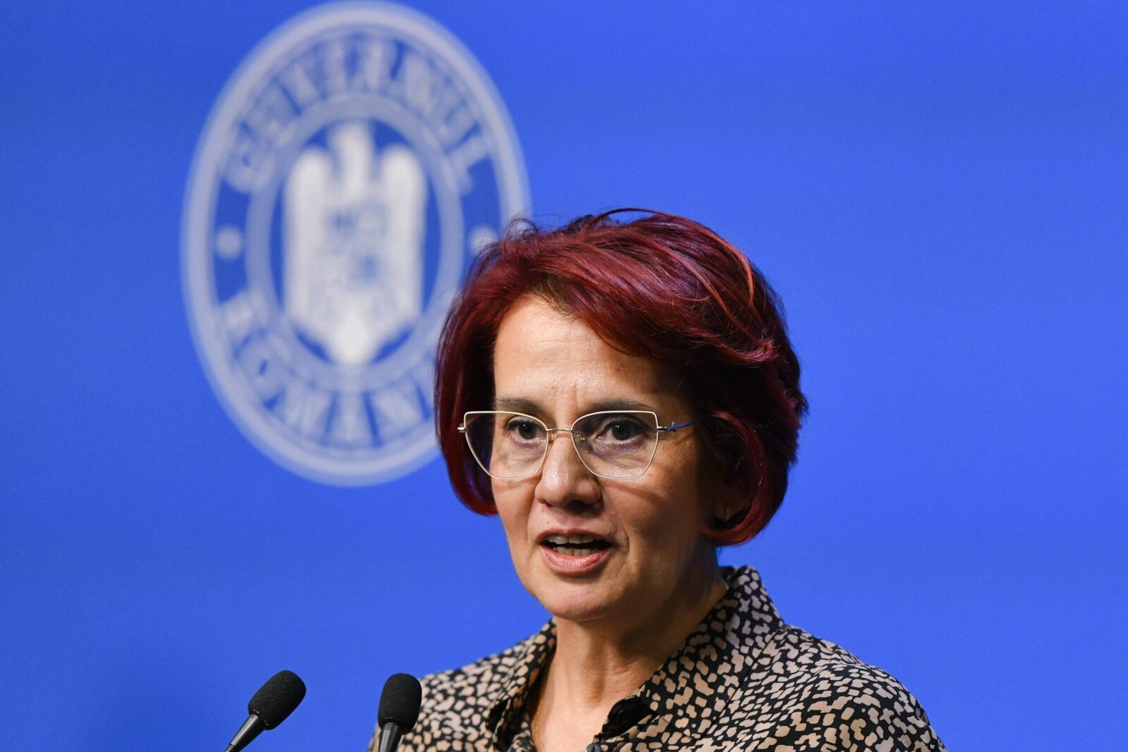 Guvernul a stabilit: Bilete de tratament balnear pentru 2026, aprobate