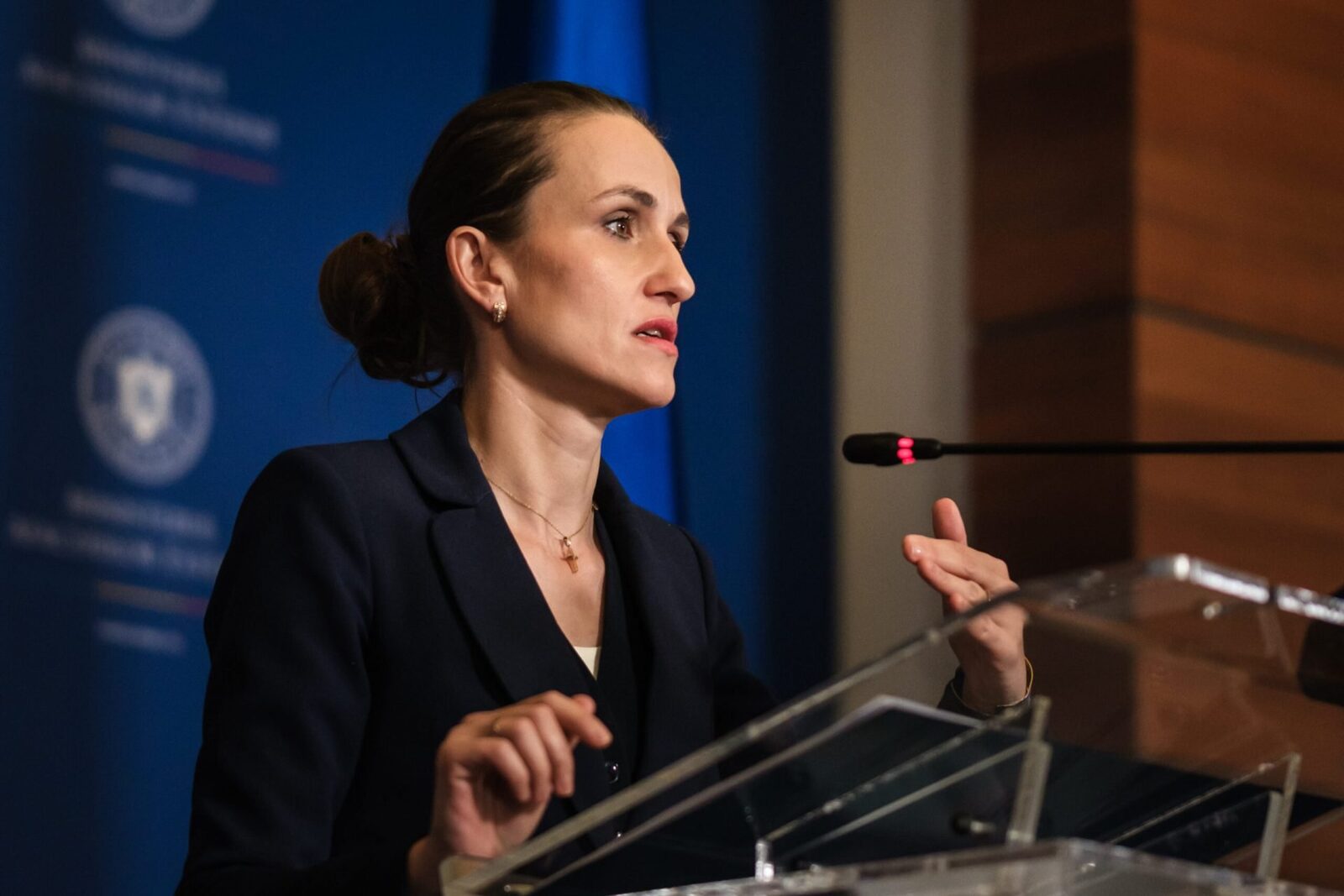 Țoiu, dialog cu viitoarea șefă a diplomației ungare: „Admirație pentru unguri”