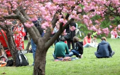 Tradiția seculară din Japonia, adoptată și în România