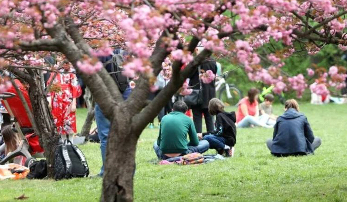 Tradiția seculară din Japonia, adoptată și în România