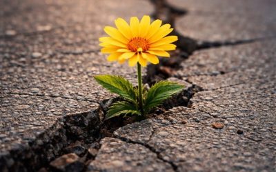 Bunătatea, ultimul bastion în fața urii: Cum rezistăm prin gesturi mărețe