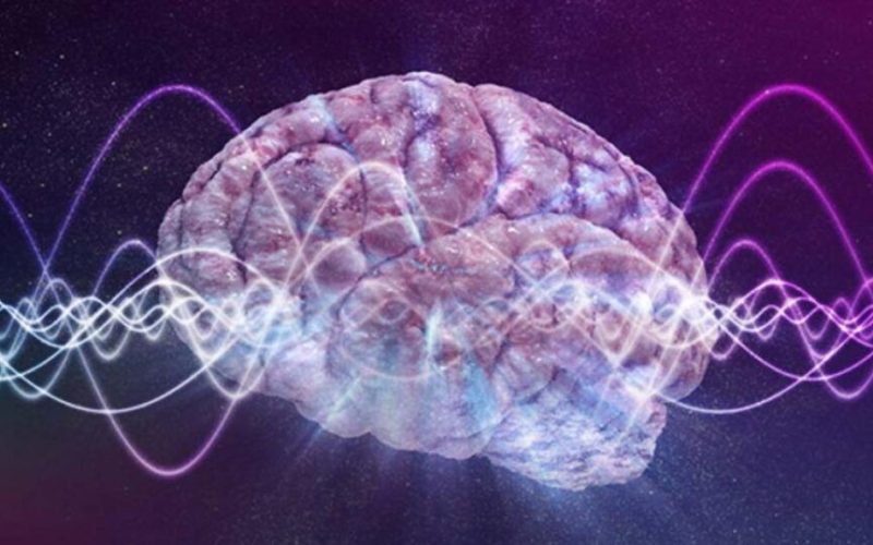 S-a schimbat tot: Noua teorie care răstoarnă tot despre minte