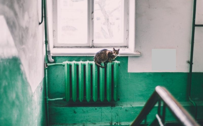 Oradea, gata să reia căldura? Temperaturi de 2 grade Celsius peste noapte!