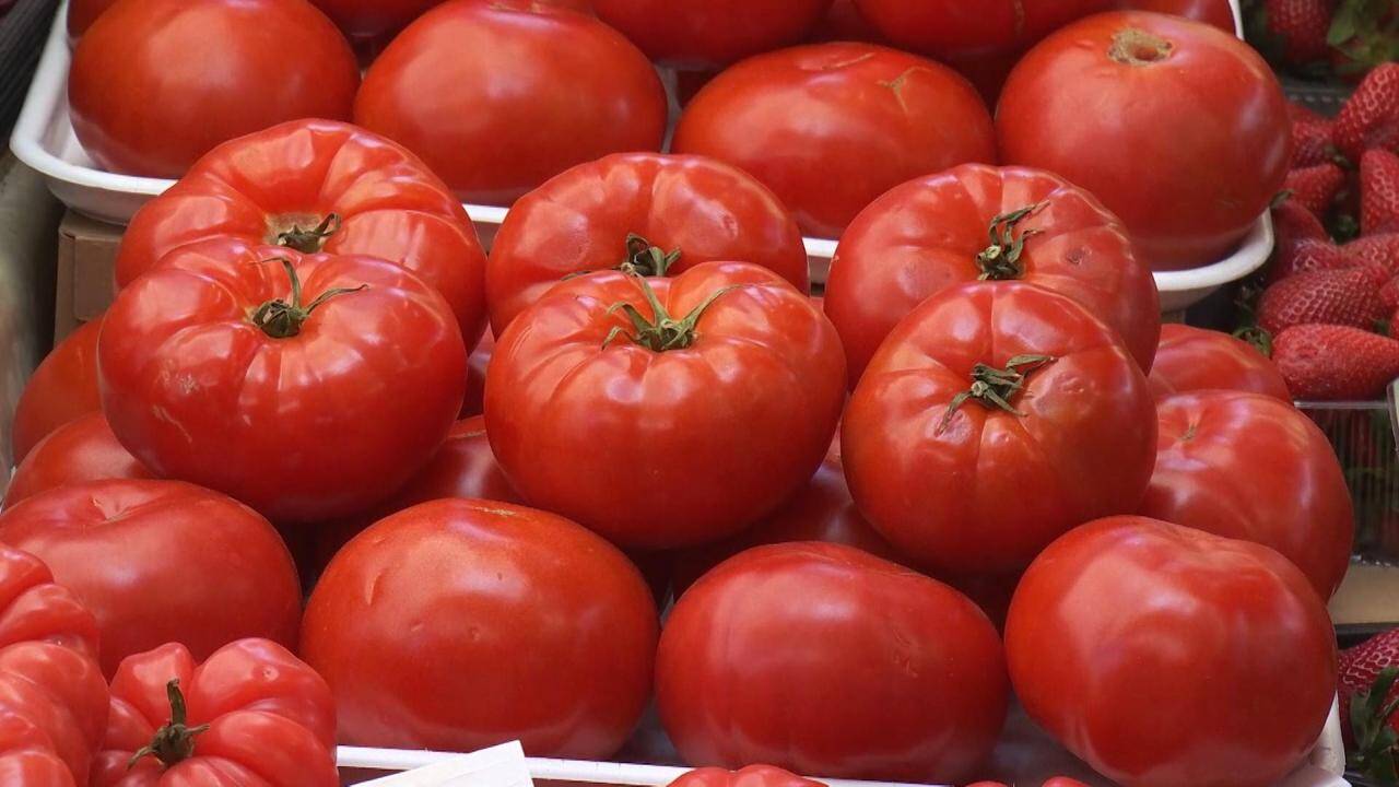 Roșiile românești în aprilie 2026: „aș vrea două felii!” – reacții dure la prețuri