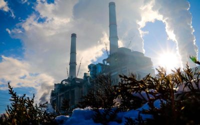 Aproximativ 600 de angajați ai Complexului Energetic Oltenia (CE Oltenia) au depus cereri de șomaj după ce contractele lor de muncă pe durată determinată au expirat la începutul lunii aprilie