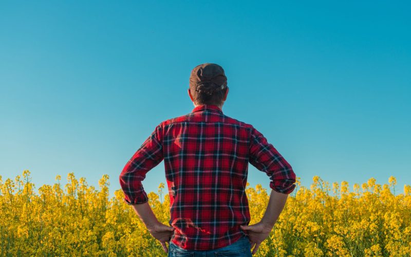 Manosphere, un pericol ascuns: Politicieni britanici cer măsuri pentru bărbați