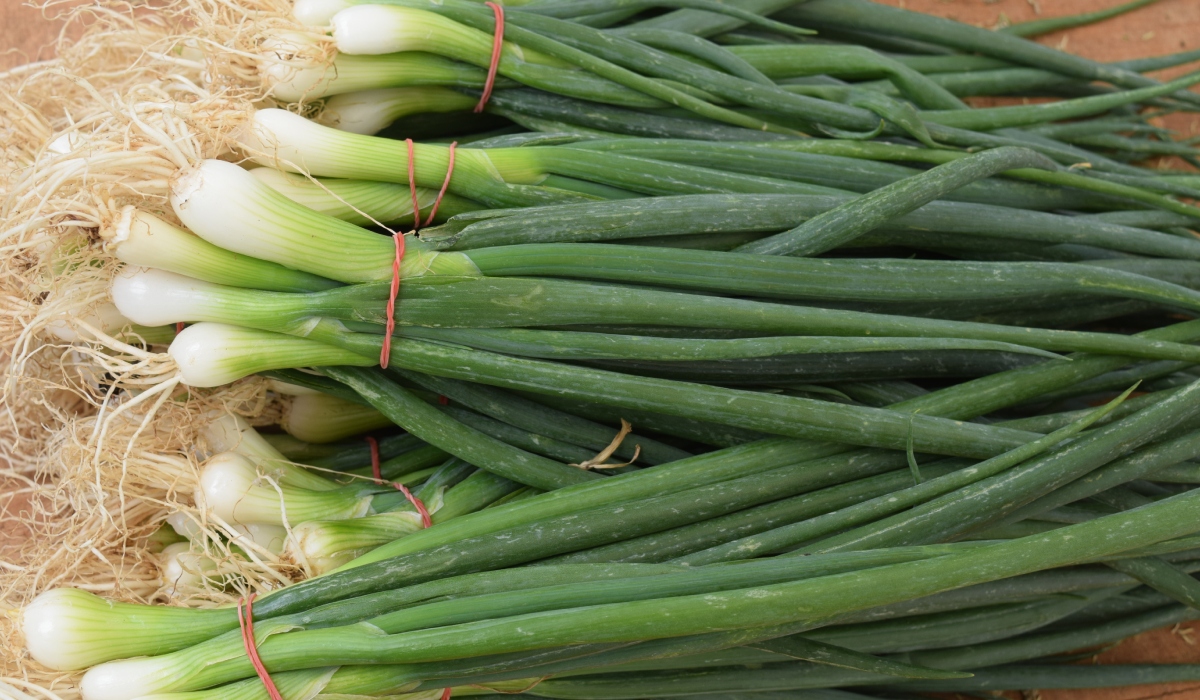 Ceapă verde în pahar: Trucul simplu care te scapă de muncă și pământ