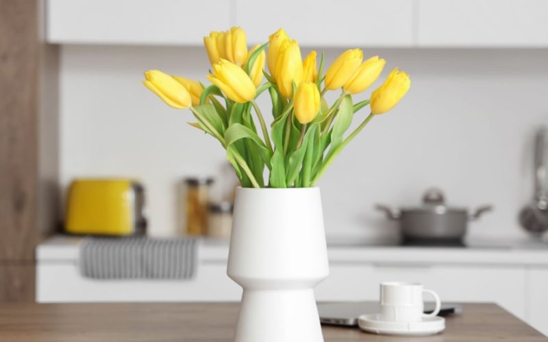 Cuiul, secretul grădinarilor: Vezi diferența în ghivece în doar câteva săptămâni!