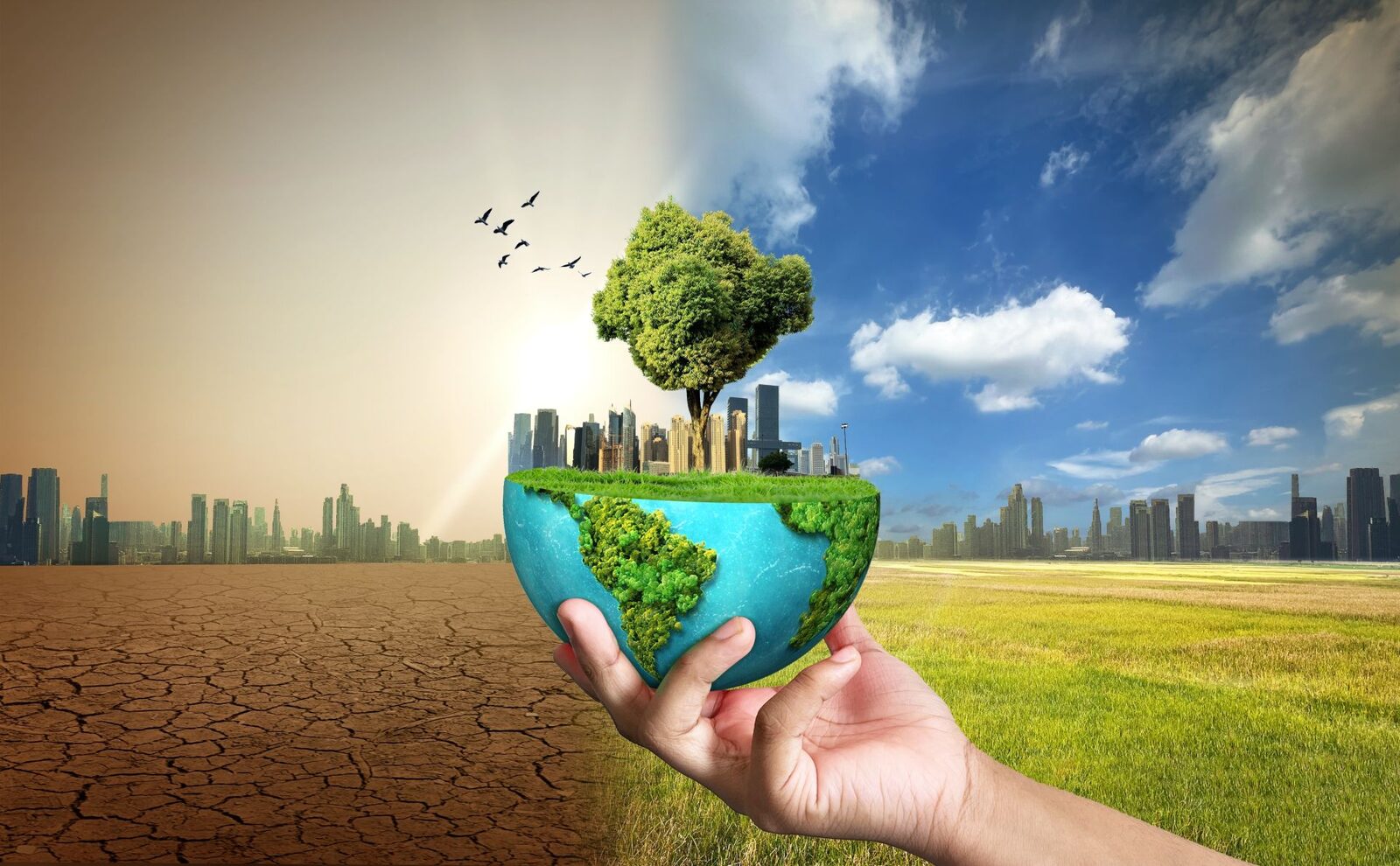 Un nou studiu arată că efectele schimbărilor climatice, provocate de activitatea umană, nu se opresc doar la o generație