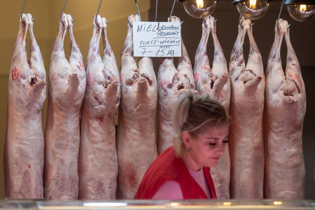 Mielul de paste, la prețuri ca anul trecut în arad