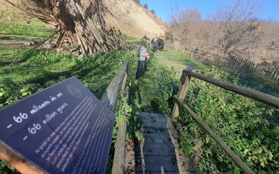 Ministrul Mediului deblochează geoparcurile UNESCO din România