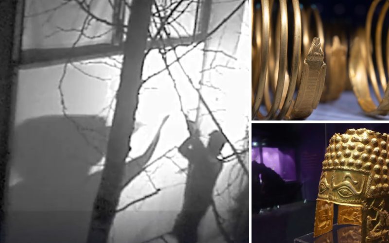 Noi detalii șocante din Olanda: Ce ISPRĂVI mai plănuiau hoții, pe lângă jaf