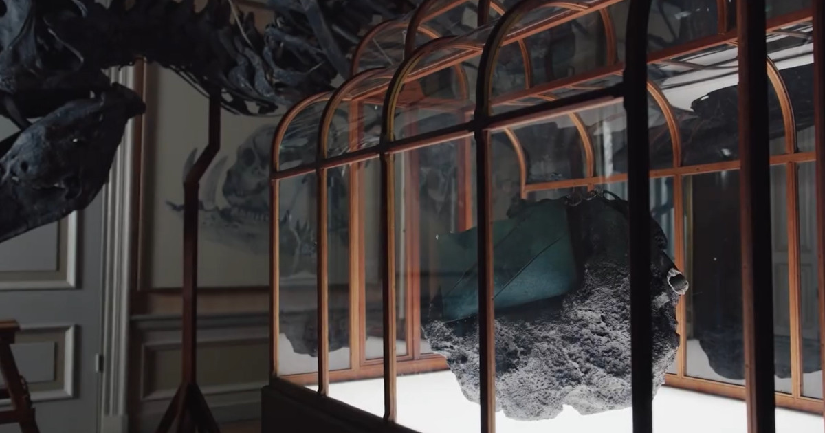 Geantă din colagen de dinozaur, la licitație cu jumătate de milion de dolari